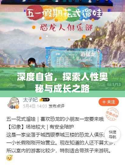 深度自省,探索人性奥秘与成长之路