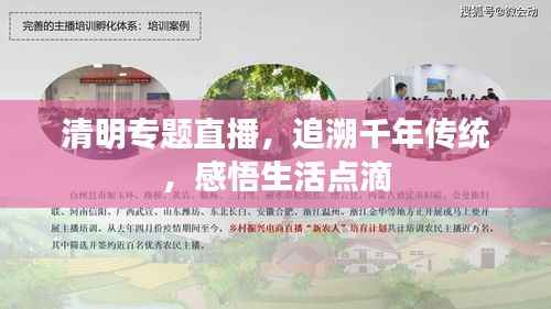 清明专题直播，追溯千年传统，感悟生活点滴