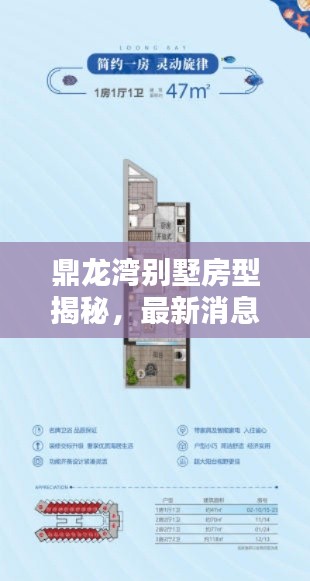鼎龙湾别墅房型揭秘,最新消息透露房型及数量!