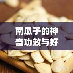 南瓜子的神奇功效与好处,百度带你全面了解!