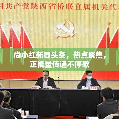 尚小红新闻头条,热点聚焦,正能量传递不停歇