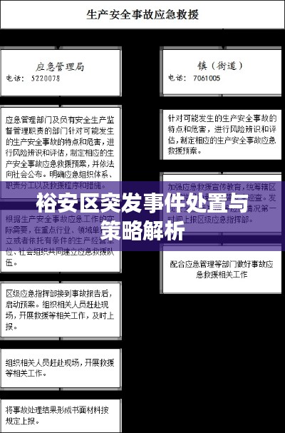 裕安区突发事件处置与策略解析