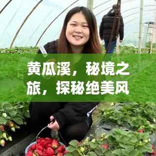 黄瓜溪,秘境之旅,探秘绝美风光攻略!