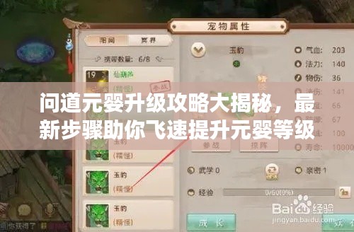 问道元婴升级攻略大揭秘,最新步骤助你飞速提升元婴等级