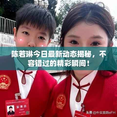 陈若琳今日最新动态揭秘,不容错过的精彩瞬间!