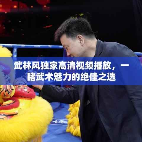 武林风独家高清视频播放，一睹武术魅力的绝佳之选