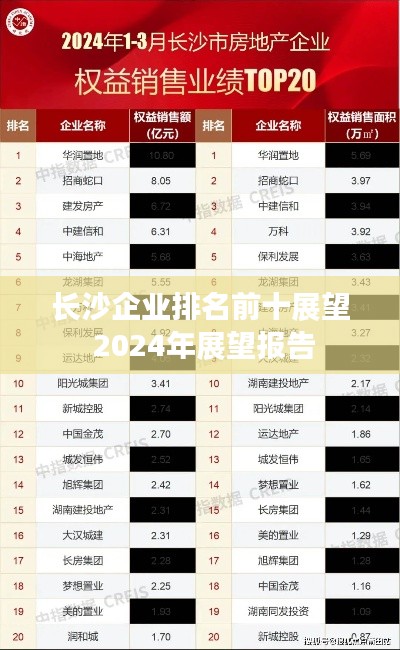 长沙企业排名前十展望 2024年展望报告