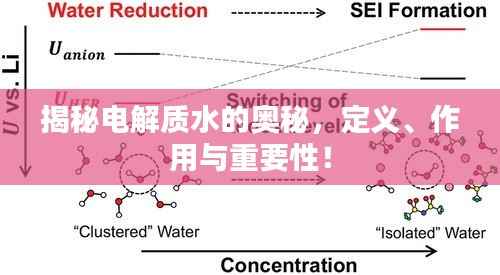 揭秘电解质水的奥秘，定义、作用与重要性！