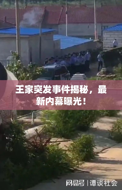王家突发事件揭秘,最新内幕曝光!