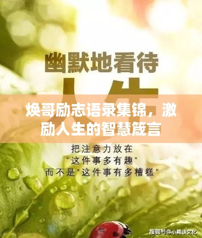 焕哥励志语录集锦,激励人生的智慧箴言