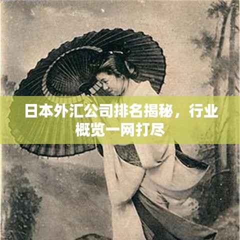 日本外汇公司排名揭秘,行业概览一网打尽