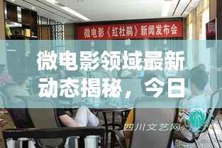 微电影领域最新动态揭秘,今日热门新闻速递
