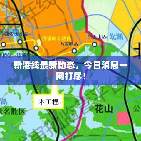 新港线最新动态,今日消息一网打尽!