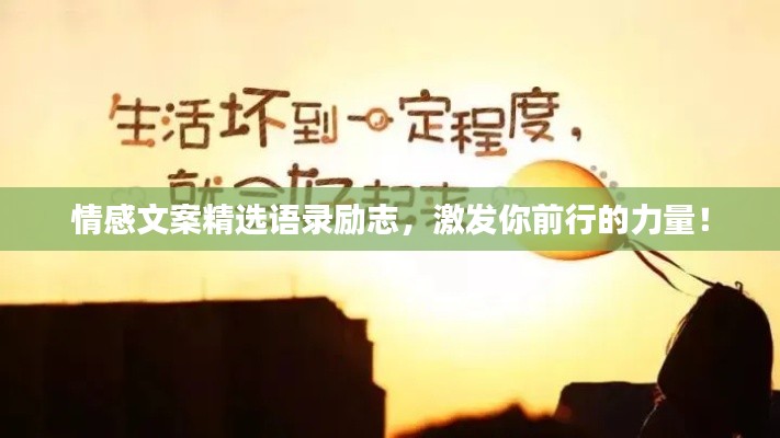 情感文案精选语录励志,激发你前行的力量!