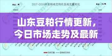 山东豆粕行情更新，今日市场走势及最新消息
