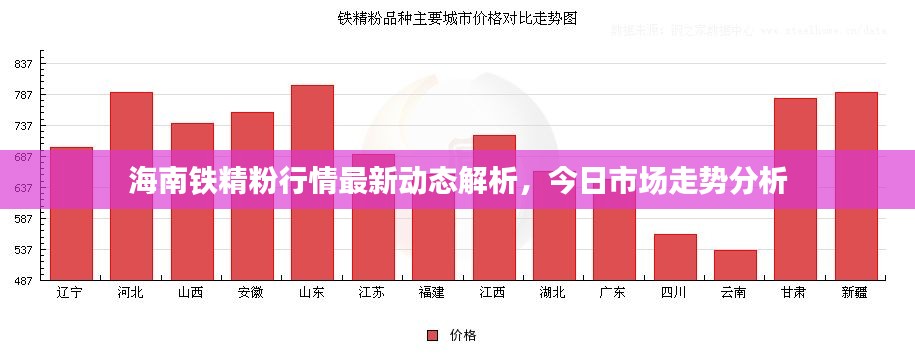 海南铁精粉行情最新动态解析，今日市场走势分析