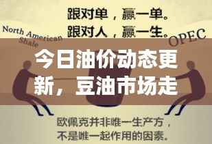 今日油价动态更新,豆油市场走势分析与行情速递