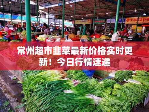常州超市韭菜最新价格实时更新!今日行情速递