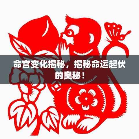 命宫变化揭秘,揭秘命运起伏的奥秘!