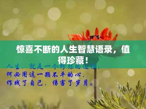 惊喜不断的人生智慧语录,值得珍藏!