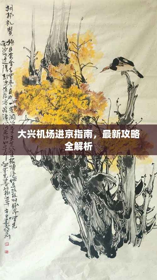 大兴机场进京指南,最新攻略全解析