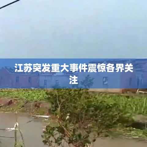 江苏突发重大事件震惊各界关注