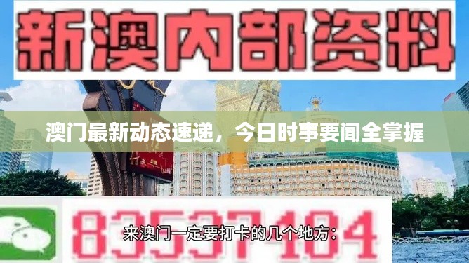 澳门最新动态速递,今日时事要闻全掌握