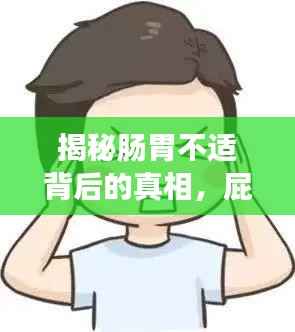 揭秘肠胃不适背后的真相,屁多背后的原因是什么?