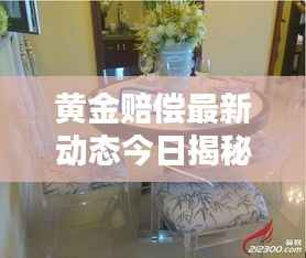 黄金赔偿最新动态今日揭秘