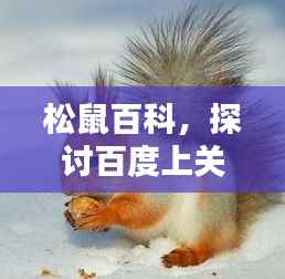 松鼠百科,探讨百度上关于松鼠是否违法的真相揭秘