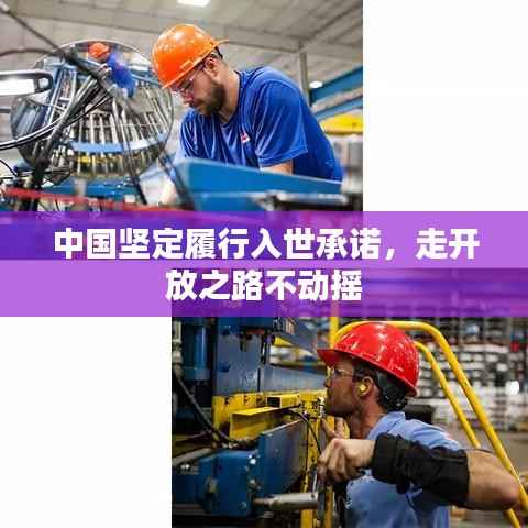 中国坚定履行入世承诺,走开放之路不动摇