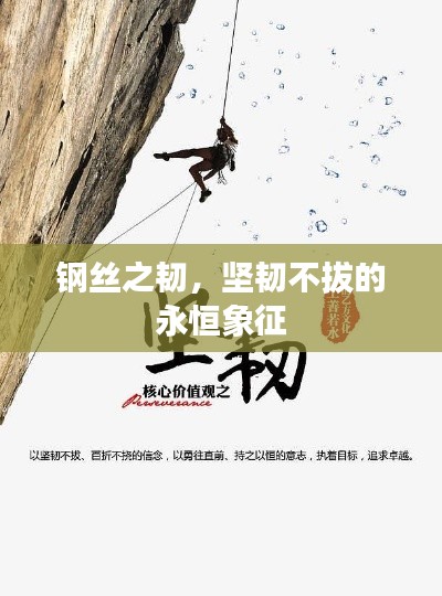 钢丝之韧,坚韧不拔的永恒象征