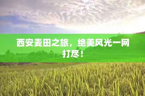 西安麦田之旅,绝美风光一网打尽!
