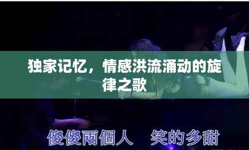 独家记忆,情感洪流涌动的旋律之歌