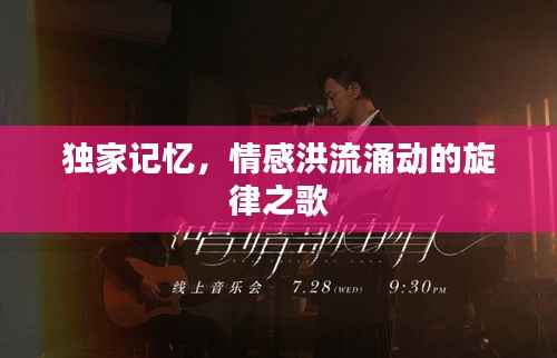 独家记忆，情感洪流涌动的旋律之歌