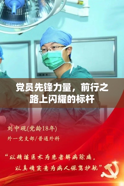 党员先锋力量，前行之路上闪耀的标杆