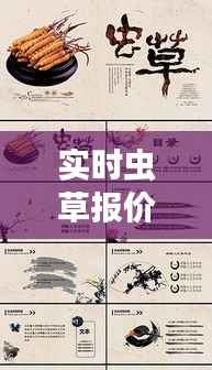 实时虫草报价揭秘，珍稀草药市场动态大揭秘！