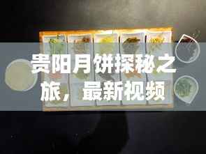 贵阳月饼探秘之旅,最新视频带你领略月饼魅力