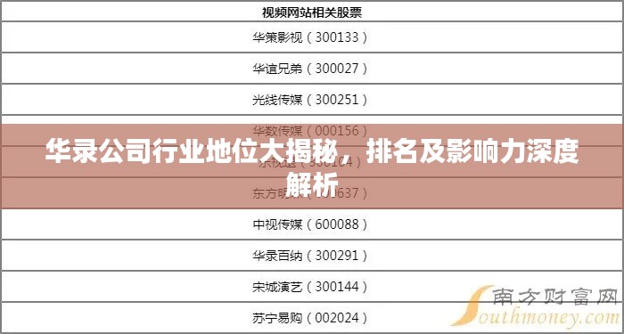华录公司行业地位大揭秘,排名及影响力深度解析