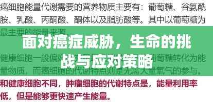 面对癌症威胁,生命的挑战与应对策略
