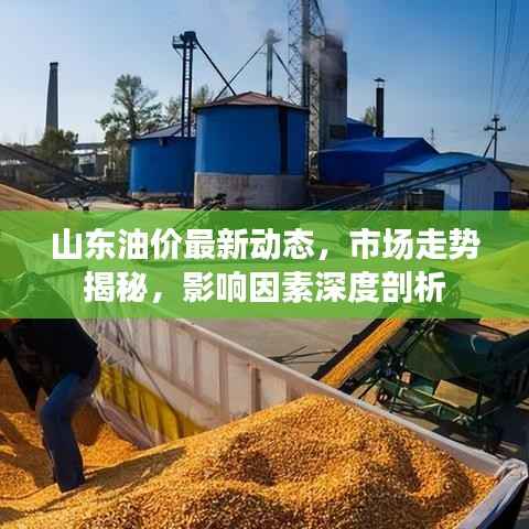 山东油价最新动态,市场走势揭秘,影响因素深度剖析