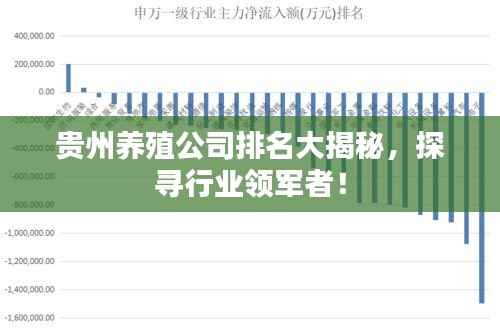 贵州养殖公司排名大揭秘,探寻行业领军者!