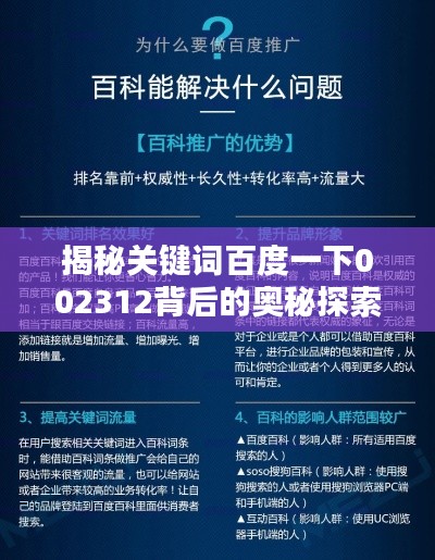 揭秘关键词百度一下002312背后的奥秘探索
