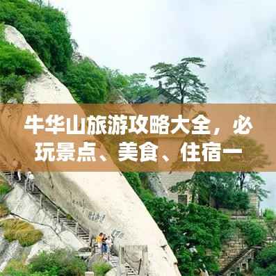 风华绝代