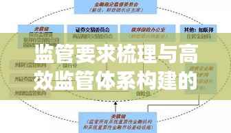 监管要求梳理与高效监管体系构建的关键步骤解析