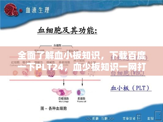 全面了解血小板知识，下载百度一下PLT24，血少板知识一网打尽