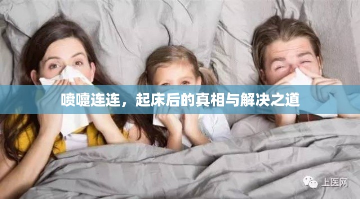 喷嚏连连,起床后的真相与解决之道