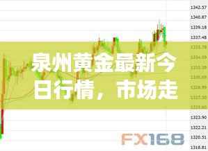 泉州黄金最新今日行情,市场走势、影响因素及未来展望