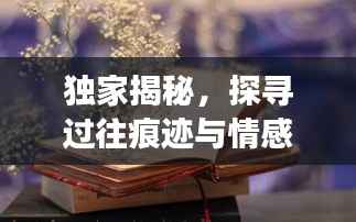 独家揭秘，探寻过往痕迹与情感印记，揭秘原3611记忆之旅