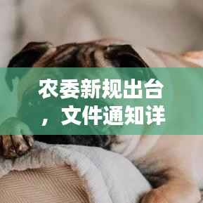 农委新规出台,文件通知详解